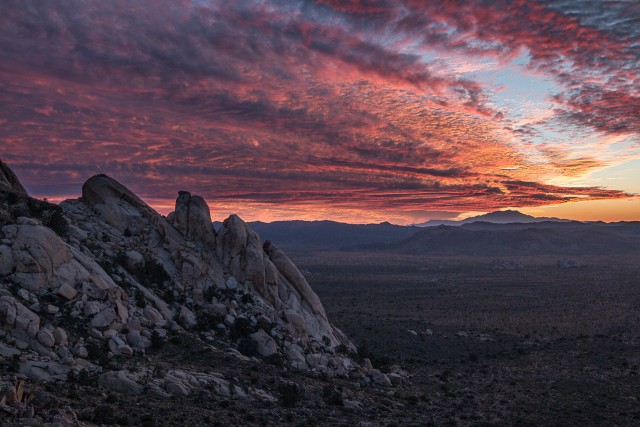 Võimas päikeseloojangu värvide mäng Joshua Tree rahvuspargis, USA