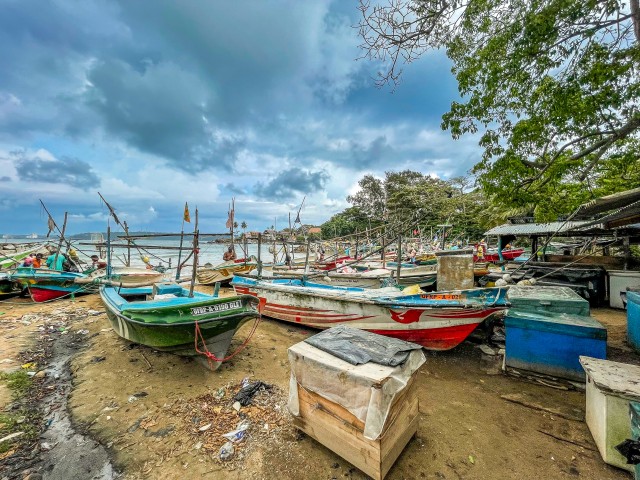 Kalasadam Sri Lankal, värvilised kalalaevad kaldal