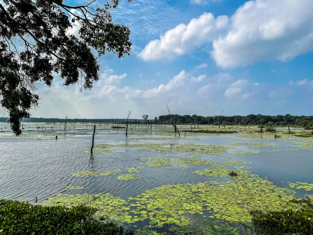Järv, mis ümbritseb Neak Peani templit Angkori arheoloogilises leiukohas Siem Reapis Kambodžas