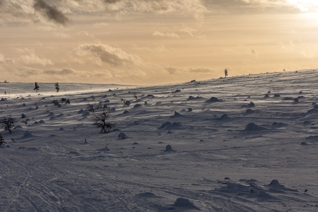 Lapimaa lumine maastik, Soome