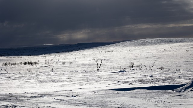 Talviselt lumine Svalbardi maastik, Norra