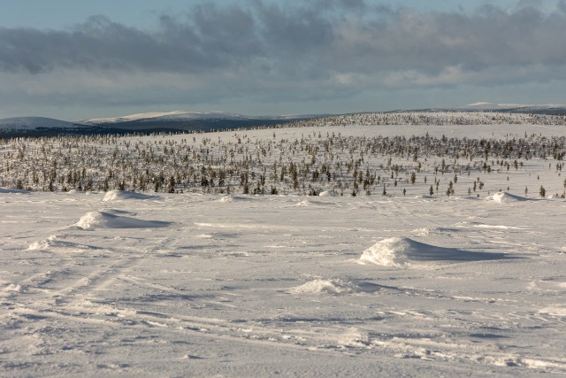Lapimaa lumine mets ja maastik, Soome