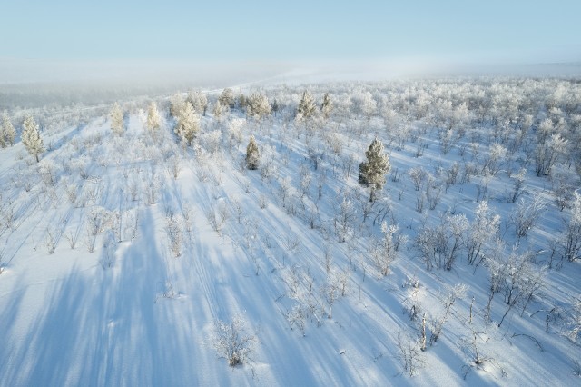 Talviselt lumine Svalbardi mets ja maastik, Norra