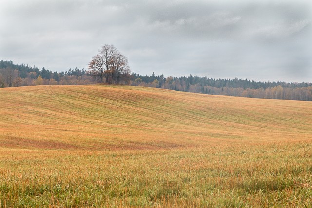 Sügisene viljapõld Lätis