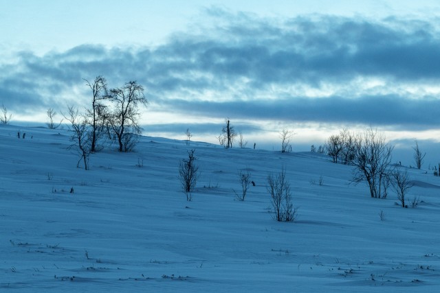 Talvine maastik Nellimi küla lähedal Soomes