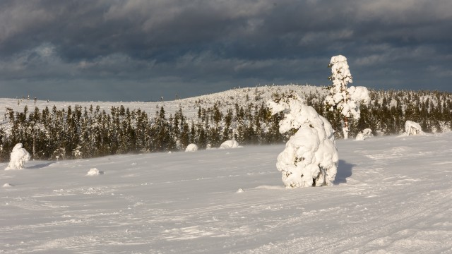 Lapimaa lumine mets ja maastik, Soome