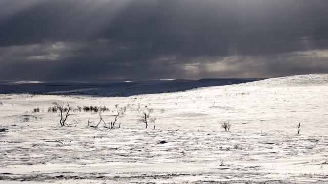 Talviselt lumine Svalbardi maastik, Norra