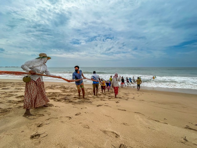 Külanaised kalameestega kala merest välja tõmbamas, Sri Lanka
