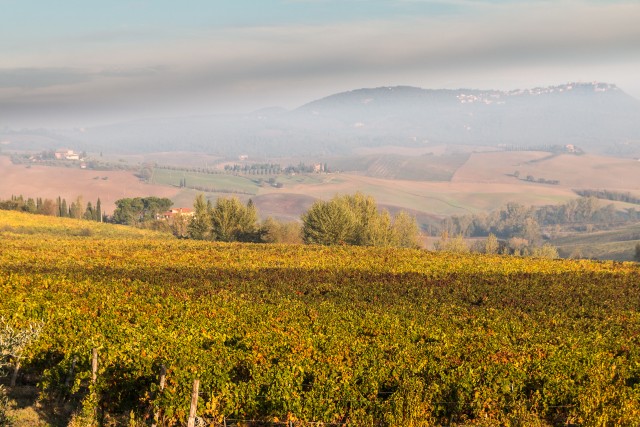 Toscana kaunis maastik Itaalias