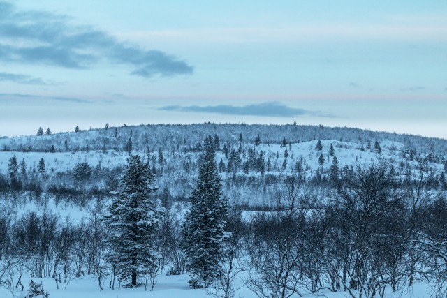 Talvine maastik Nellimi küla lähedal Soomes