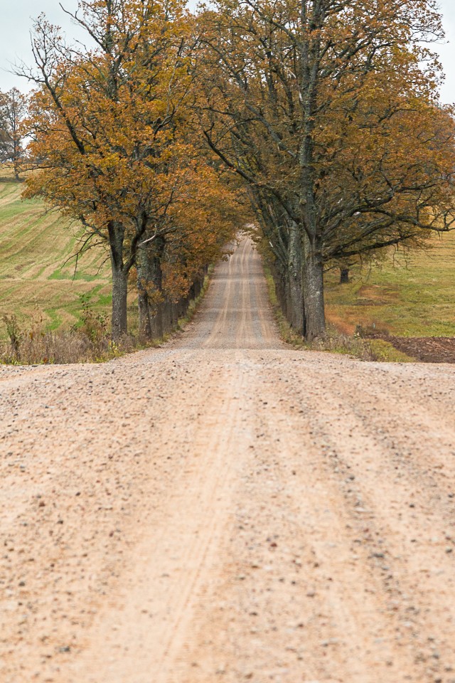 Kuldne allee sügisesse, Läti