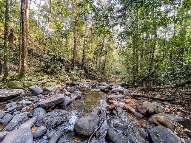 Kivine jõgi Wilpattu rahvuspargis Sri Lankal