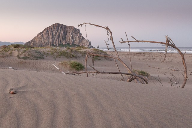 Liivaluiteis maastik Morro lahe kaldal, California, USA