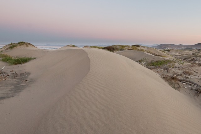 Liivaluited Põhja-Ameerika läänerannikul