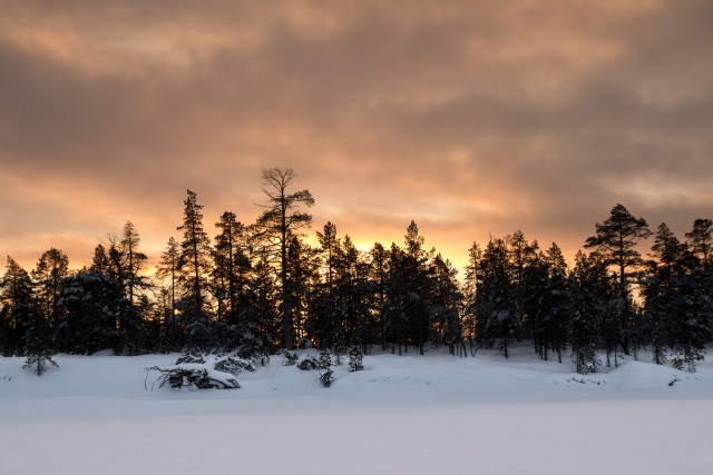 Talvine maastik Nellimi küla lähedal Põhja-Soomes