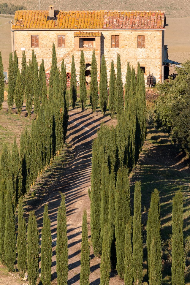Itaalia maapiirkonna mõis – võluv küpressipuudega ääristatud aasatee