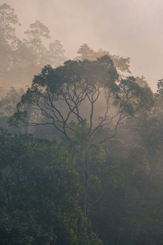 Sri Lanka rahvuspark ja selle metsik loodus