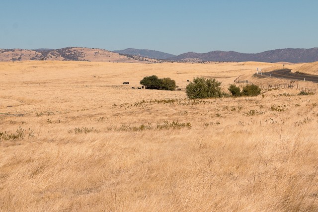 Heinapõld põõsastega, taustal mäestik, California
