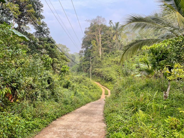 Wilpattu rahvuspark Sri Lankal