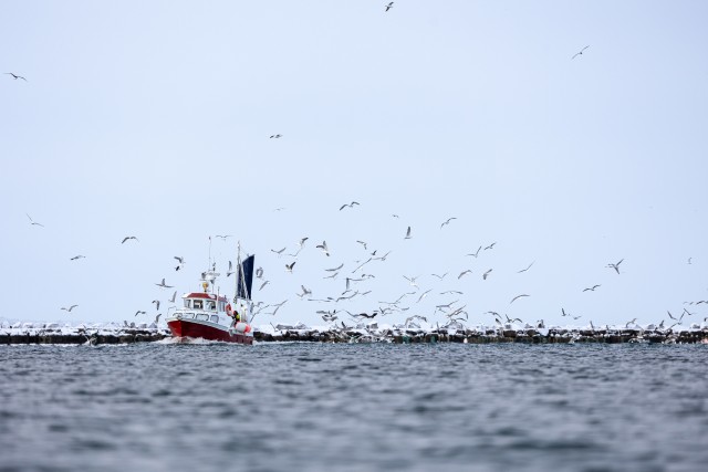 Kajakaparv ümber kalalaeva, Norra